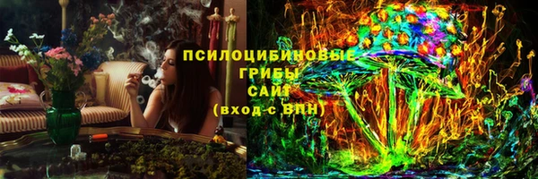 МДПВ Алексеевка