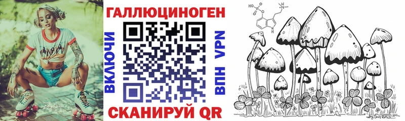 Псилоцибиновые грибы Psilocybe  Купить закладки  Тюкалинск 